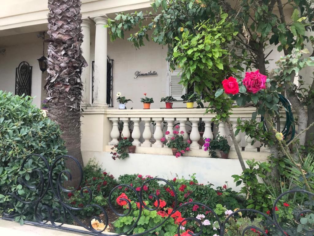 Villa Zammitella Σεντ Πόλς Μπέι Εξωτερικό φωτογραφία